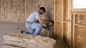 Best Basement Insulation  in Wardsville, MO