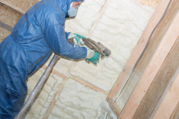 Best Commercial Insulation Services  in Wardsville, MO